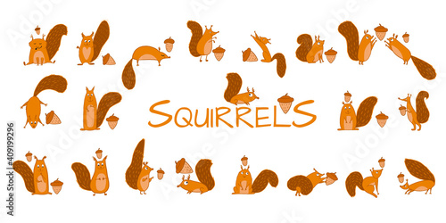 Funny squirrels with nut, collection for your design