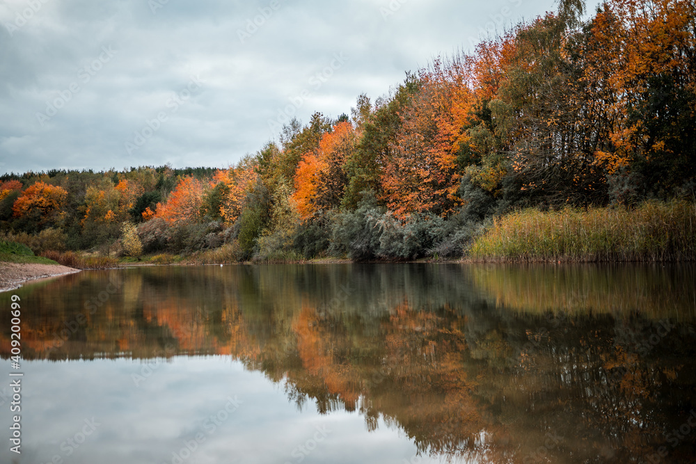 Autumn scene in a nature reserve with a pond and island in the middle of lake gorgeous orange colours leaves falling in the fall wildlife reflections in river water plants serene deserted