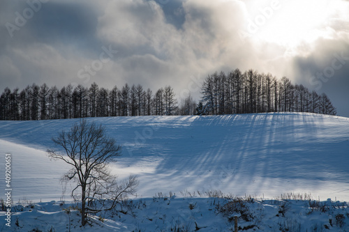 冬美瑛ドラマティックな雪影の丘 © 大西 親文
