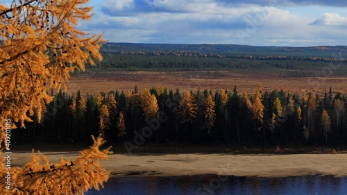 autumn landscape with lake and trees