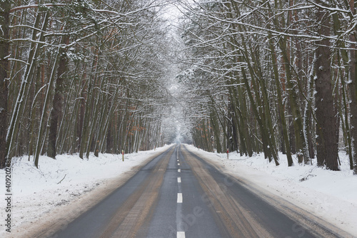 Asfaltowa droga prowadząca przez las pokryty grubą warstwą śniegu.