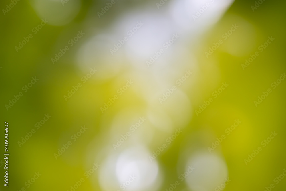 Obraz premium Defocused green backgroudn with white lights