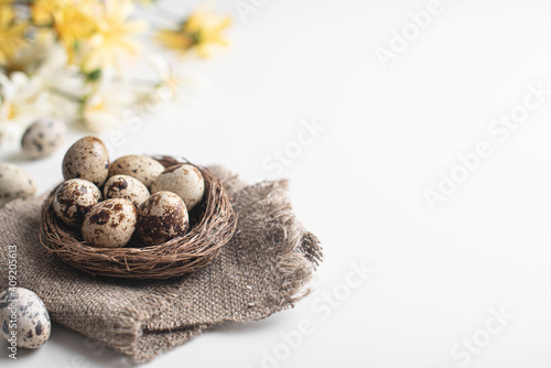 Happy easter! Congratulatory Easter background. Easter eggs and flowers. Quail eggs in the nest. Spring background. Copy space