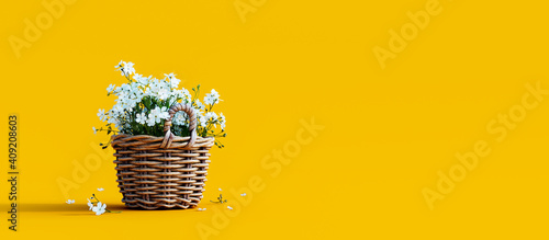 White flowers in wooden basket on yellow spring background 3D Rendering