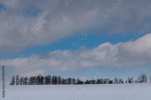 素晴らしい空模様の冬美瑛の丘 © 大西 親文