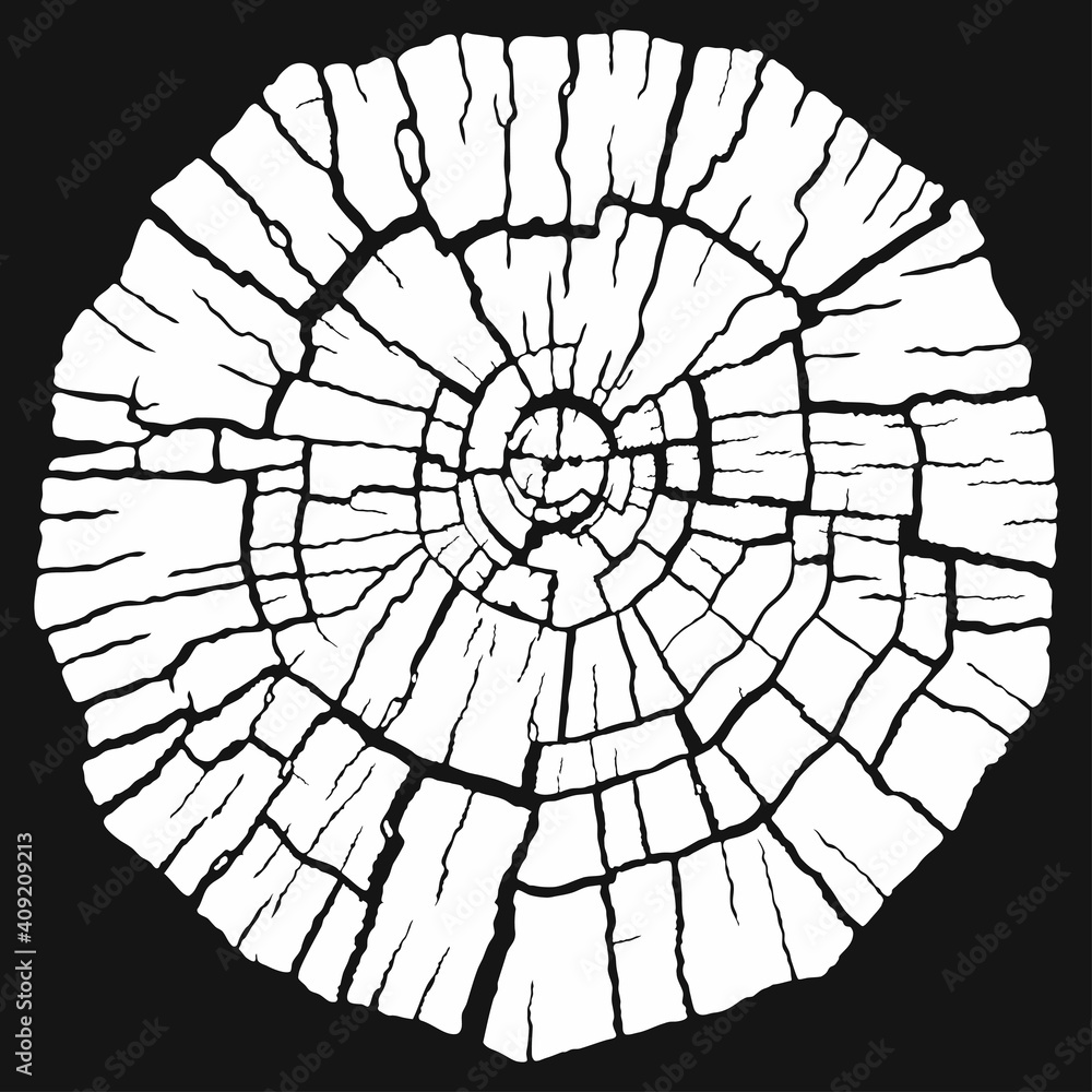 Wood texture of a flat chopped cross section of cracked wooden stump, isolated on black background. Vector 