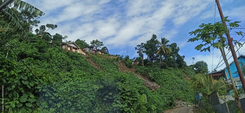 Fototapeta premium keseimbangan alam 