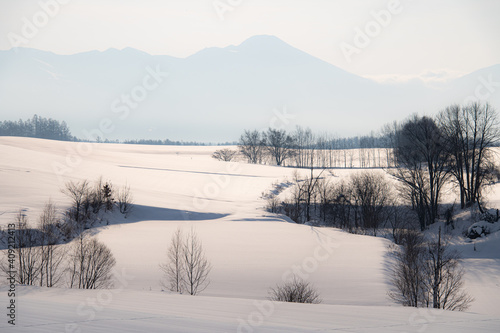 冬美瑛輝く雪の大地 © 大西 親文