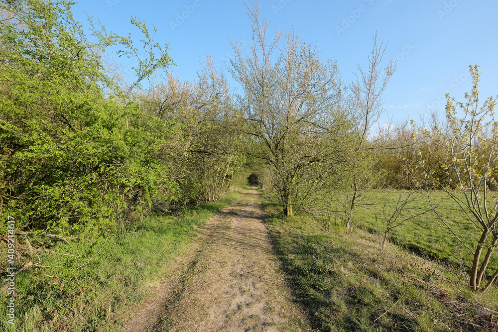 Country road, bike way, foot path through Spring greenery. Blue sky with clouds, Springtime in Brandenburg, around Berlin, Germany. Romantic rural hikes, footpath in Europe.