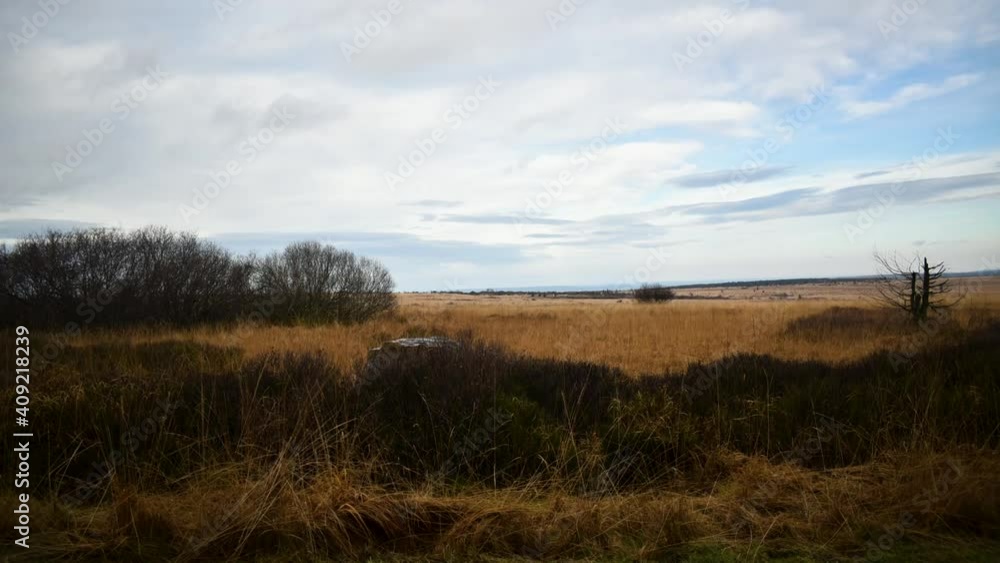 Cloudscape and grass on windy day timelapse ir moorland in High Fens Cloudscape and grass on windy day timelapse ir moorland in High Fens