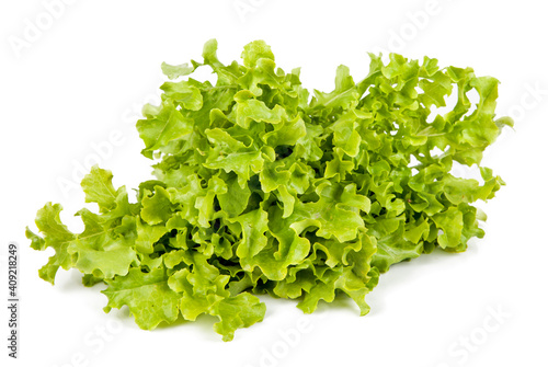 Fresh decorative lettuce isolated on the white background. View from another angle in the portfolio.