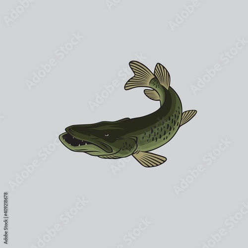 pike fishing