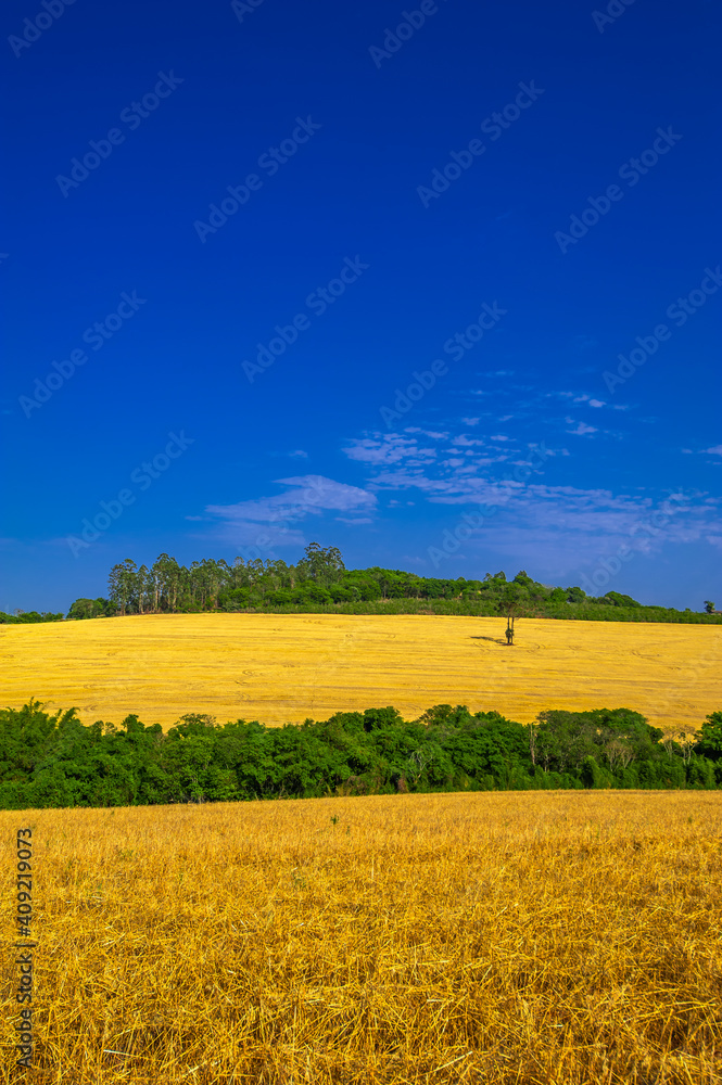 Fototapeta premium rural landscape. contryside, beautiful farm