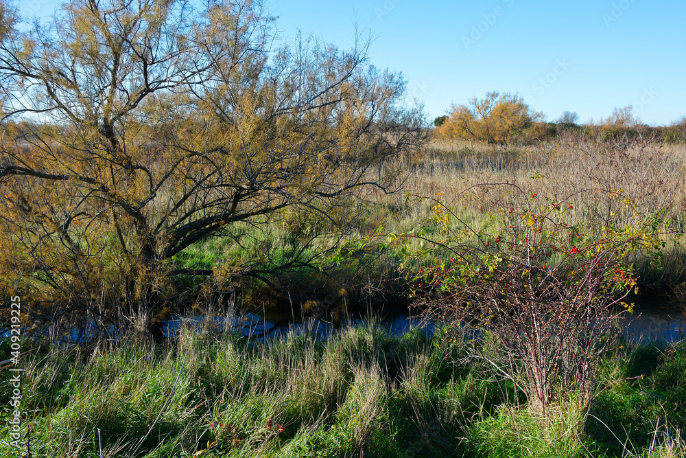Winter in the wetland lagoon area near Grado, Friuli-Venezia Giulia, north east Italy
Winter in the wetland lagoon area near Grado, Friuli-Venezia Giulia, north east Italy