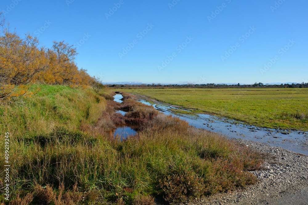 Fototapeta premium Winter in the wetland lagoon area near Grado, Friuli-Venezia Giulia, north east Italy 