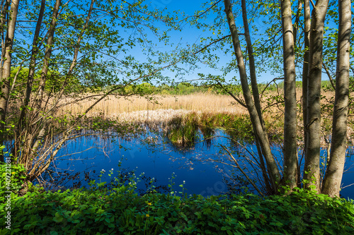 Landschaft mit Teich und Bäumen bei Kuchelmiß