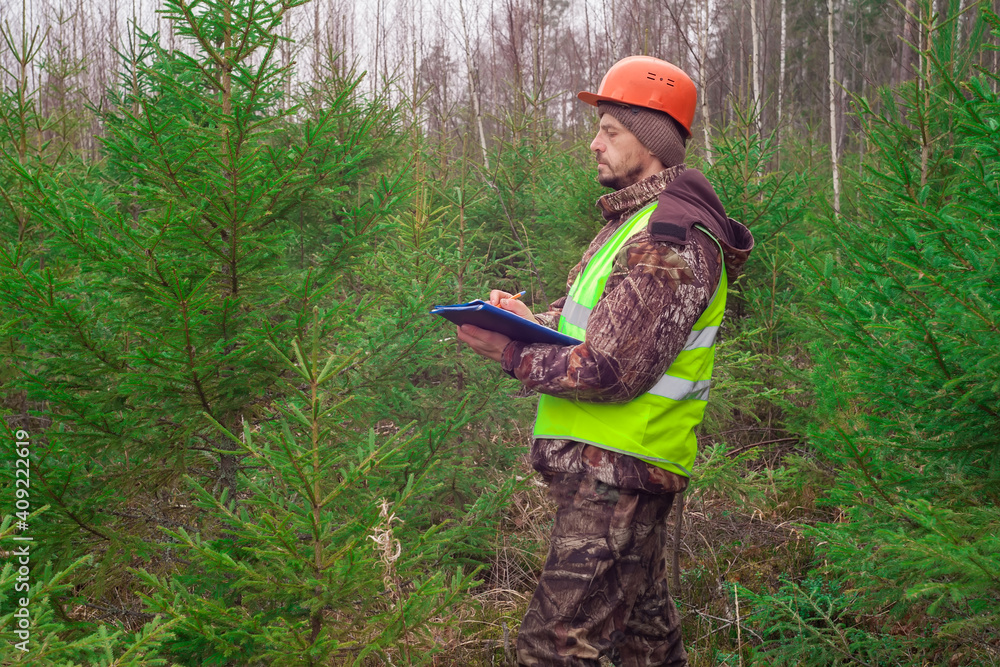 A forest ecologist oversees the development of a young forest. Real people work. A forest ecologist oversees the development of a young forest. Real people work.