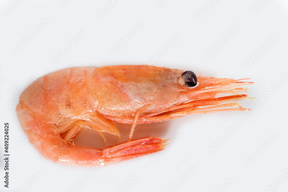 boiled shrimp on a white plate close-up boiled shrimp on a white plate close-up