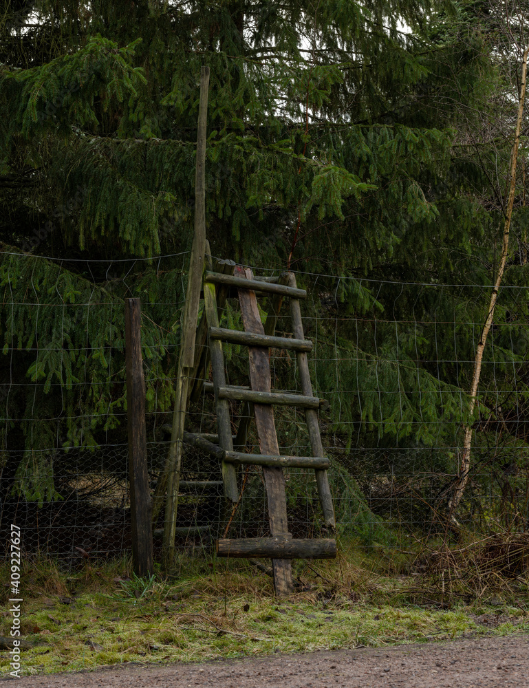 A wild animal fence with a ladder. Dark pine trees in the background. Picture from Scania county, Sweden