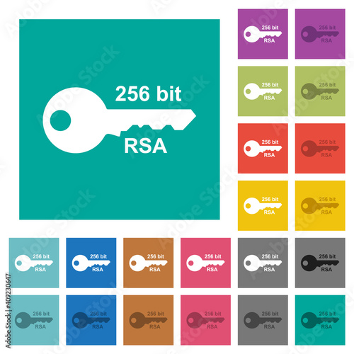 256 bit rsa encryption square flat multi colored icons