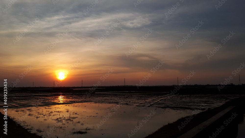 Sunset view from a rice field with the sun