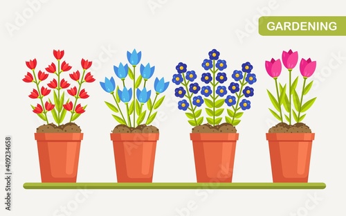 Flowers in pot. Blossom plant in botanical flower pot. Nature concept. Vector illustration