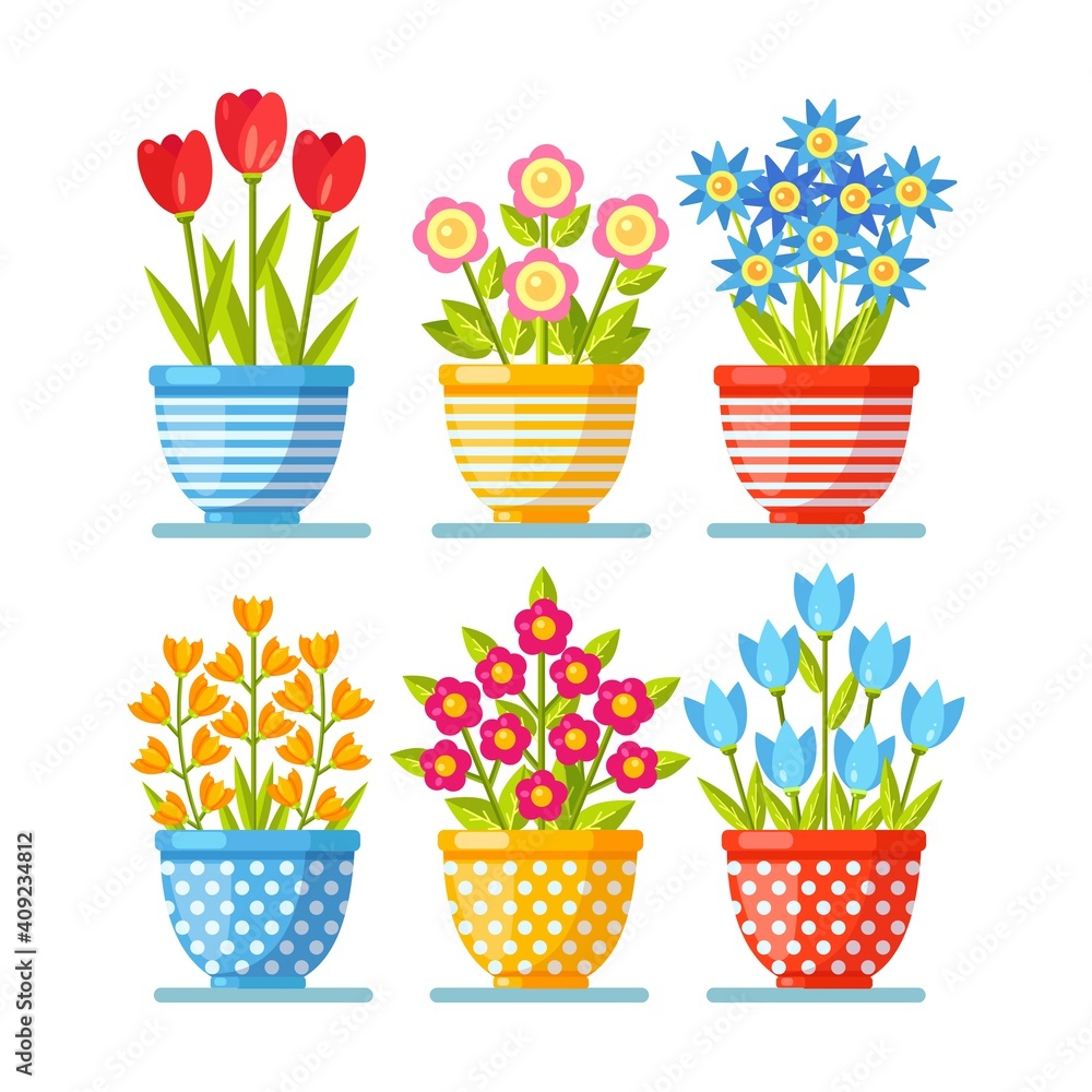 Flowers in pot. Blossom plant in botanical flower pot. Nature concept. Vector illustration