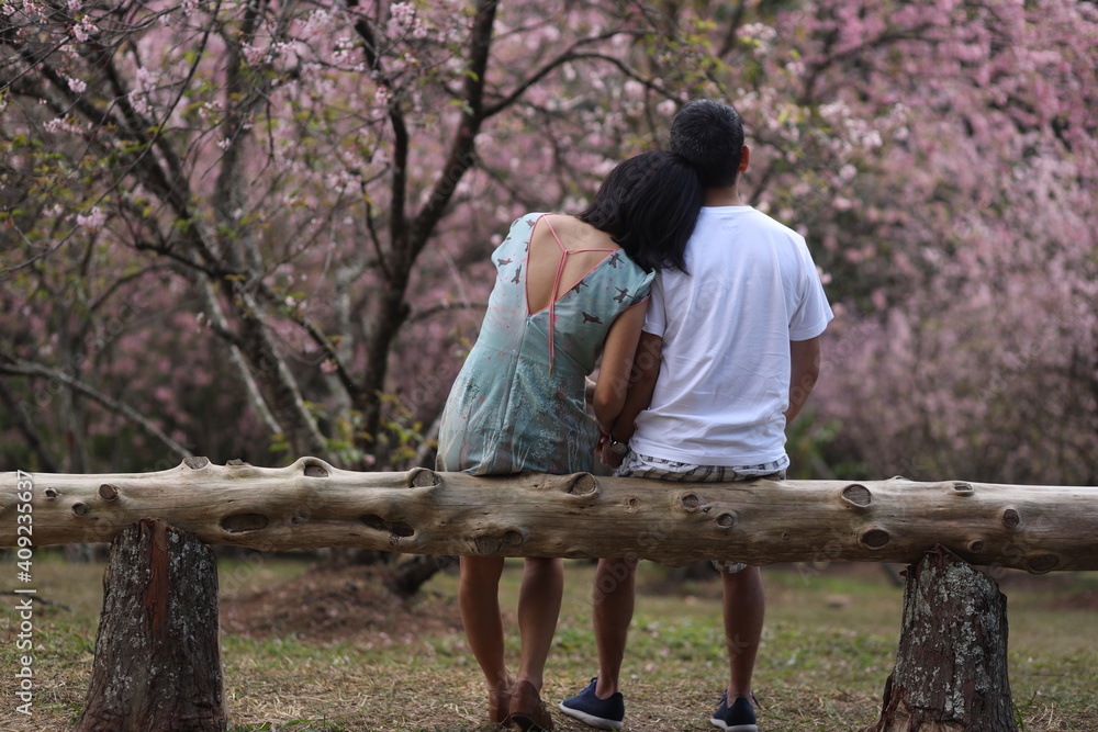 Casal de namorados vislumbrando as arvores de cerejeira japonesa. Casal de namorados vislumbrando as arvores de cerejeira japonesa.