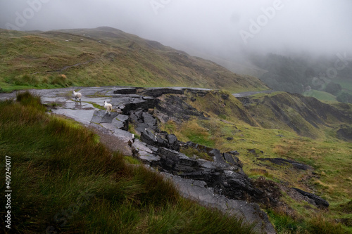 Canvas Print Road collapsing sliding down hill broken landslip carriageway country road massi