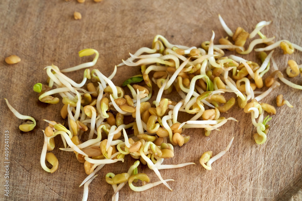 Fenugreek sprouts on a table
