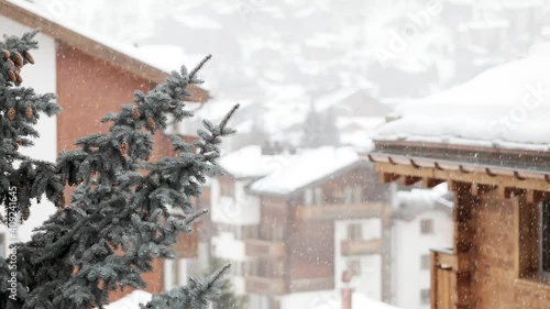 Snow falling on houses and connifers in the heart of the swiss village of Zermatt in the canton of Valais, Switzerland.