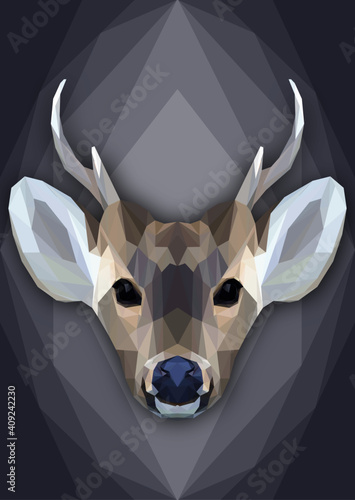 Geometrical illustration of a deer head isolated