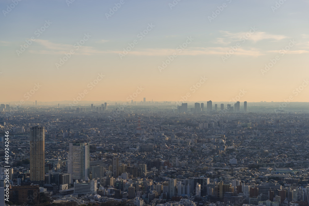 Naklejka premium 東京都渋谷区から見た東京の夕景