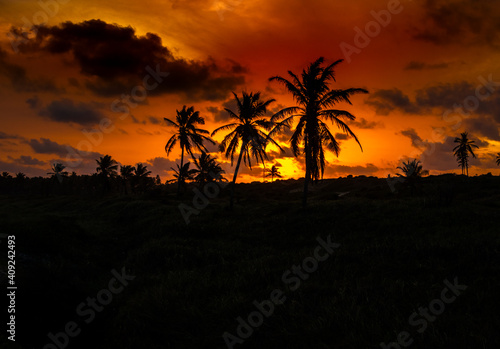 O lindo Pôr do Sol na Praia do Francês