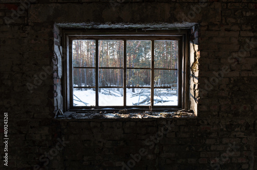 View from the window. View from the window to the forest in winter. Checkered window frame.