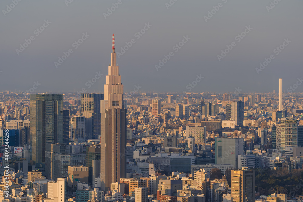 Fototapeta premium 東京都渋谷区から見た東京の夕景