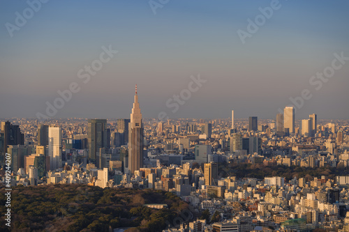 東京都渋谷区から見た東京の夕景 © zu_kuni