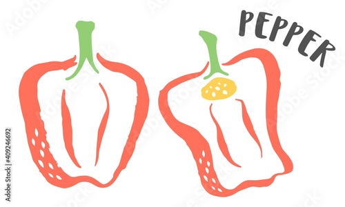 Bell Pepper hand painted with ink brush isolated on white background