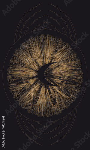 Tarot cards - back design. Moon