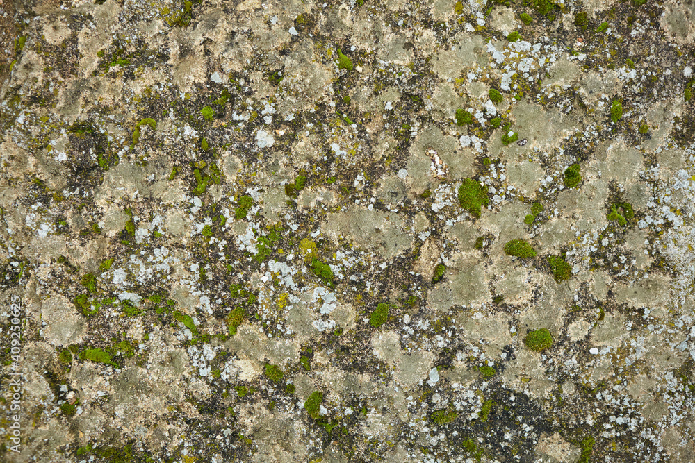 Texture of the surface of a wild stone, rock, or block. Natural material Texture of the surface of a wild stone, rock, or block. Natural material