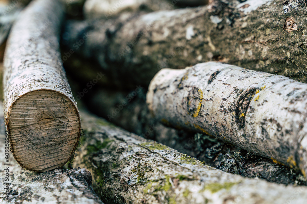 Pile of Amber Logs, Close up Abstract Background Pile of Amber Logs, Close up Abstract Background