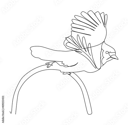 bar-throated mina bird. Continuous one line drawing