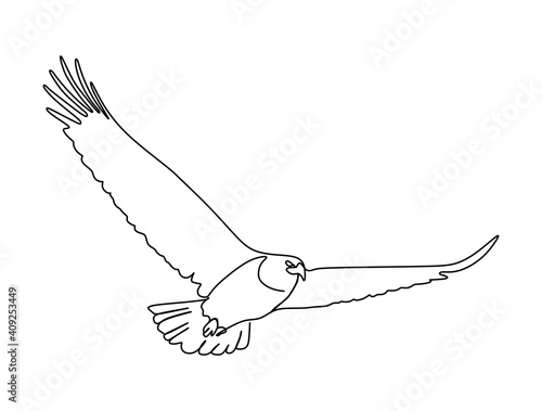 an eagle flying. Continuous one line drawing illustration.