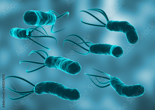 Photos Helicobacter Pylori in the microscopic environment