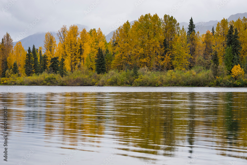 Scenic view of forest by Tern Lake against cloudy sky, Kenai, Alaska, USA Scenic view of forest by Tern Lake against cloudy sky, Kenai, Alaska, USA
