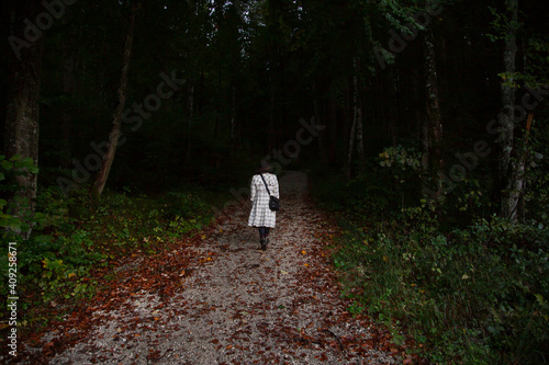 Someone walking along a path into the dark forest