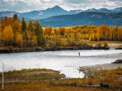 A fly fisherman casts in the snake river during fall in Wyoming