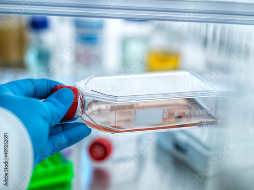 Cell Research, Scientist examining cells in a flask during an experime photo