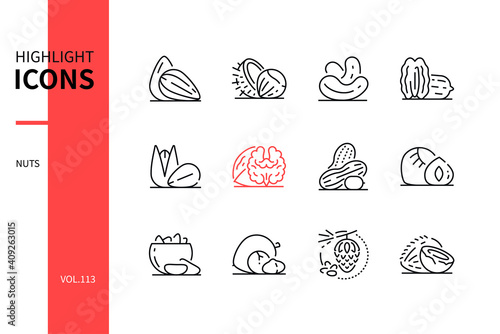Nuts - modern line design style icons set