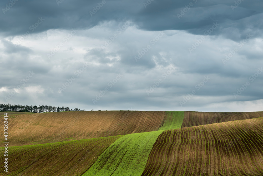Idyllic view of rolling fields near Kyjov with dramatic cloudy sky, Hodonin District, South Moravian Region, Moravia, Czech Republic Idyllic view of rolling fields near Kyjov with dramatic cloudy sky, Hodonin District, South Moravian Region, Moravia, Czech Republic